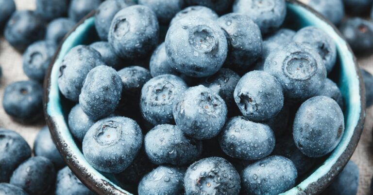 FDA upgrades recall of frozen blueberries sold at Publix to highest health risk level