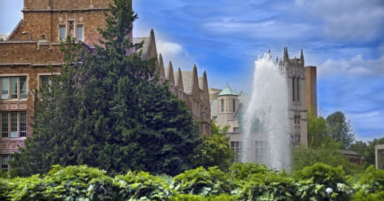 Gates Foundation awards $540M to University of Washington health institute
