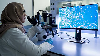 UAE boosts position in regenerative medicine, stem cell therapies