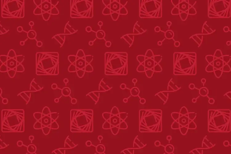a red background image featuring MCS departmental icon pattern
