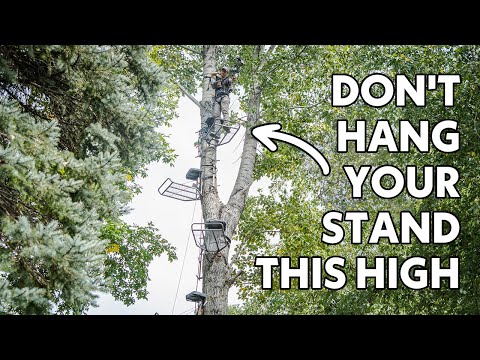 Testing the Best Treestand Height for Bowhunting thumbnail
