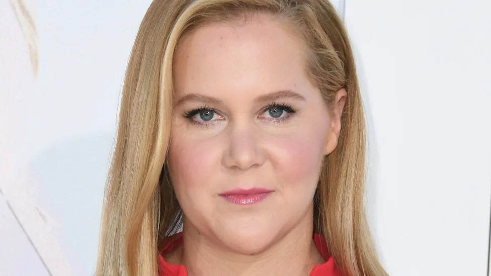 photo of amy schumer in red dress