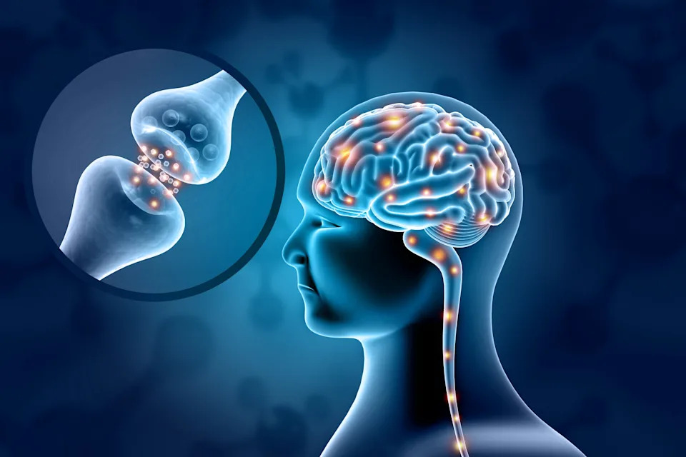 Illustration of neurons and synapses showing brain chemical activity affected by exercise
