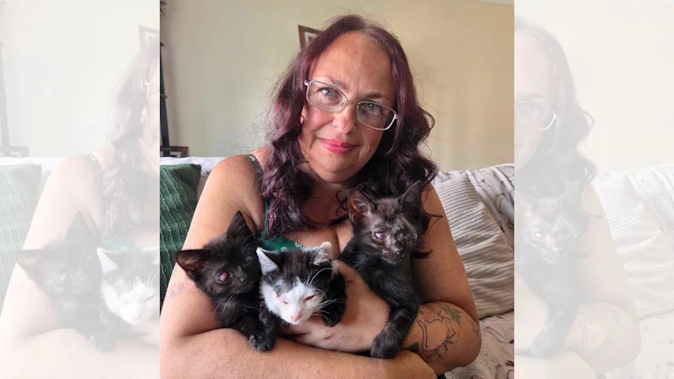 A woman with red curly hair and glasses cuddles three small kittens - some have eyes missing, and some have bloodshot damaged eyes.