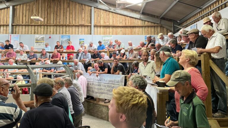 Health hub helping farmers catch hidden conditions