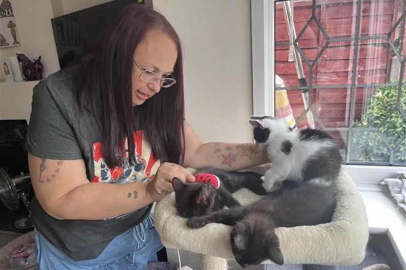 A woman with red hair plays with a cat toy with the three kittens on top of a cat tree.