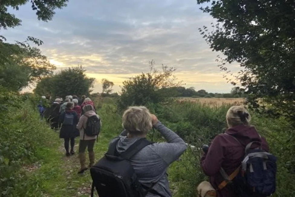 The Well Woman Walks are being held at Shapwick Moor Nature Reserve, near Glastonbury (Image: Supplied)