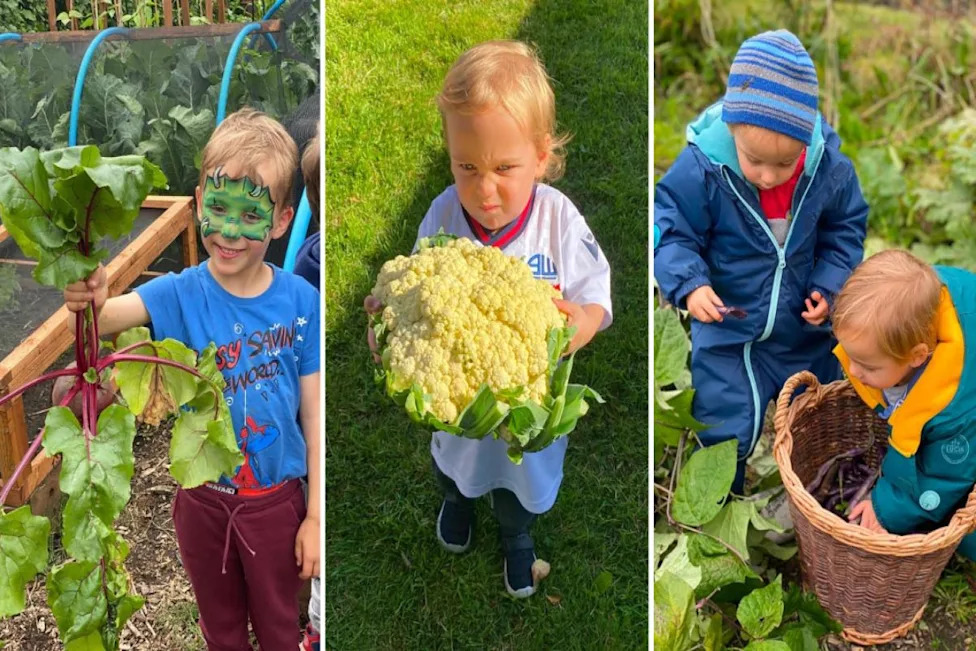 The Harpers Lane Allotment Society is proud of its strong community spirit (Image: Harpers Lane Allotment Society)
