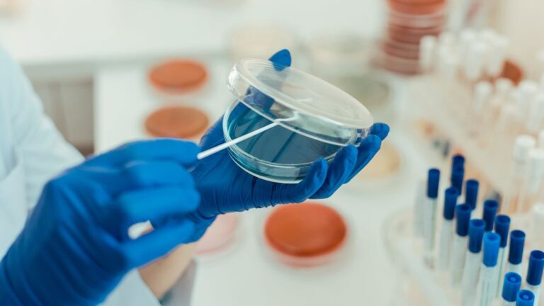 First ancient smallpox genomes found in the Americas tie disease to European colonization First ancient smallpox genomes found in the Americas tie disease to European colonization