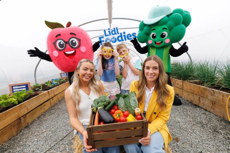 Lidl Northern Ireland launches new healthy eating programme for primary kids Lidl Northern Ireland launches new healthy eating programme for primary kids