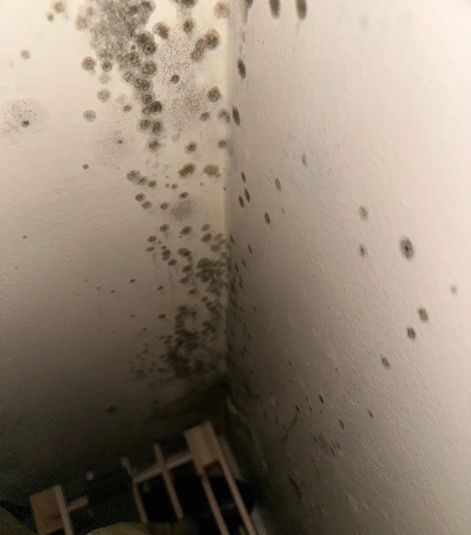 Pictures posted by Leah Emmett showed the poor state of her family's army accommodation