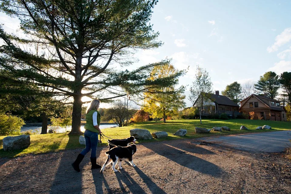 A person walking their dogs on a nature path in Freeport, Maine.Credit: Mauricio Handler/Getty Images
