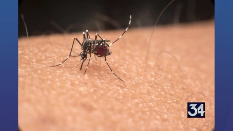 Public Health Matters: Mosquito Public Health Matters: Mosquito