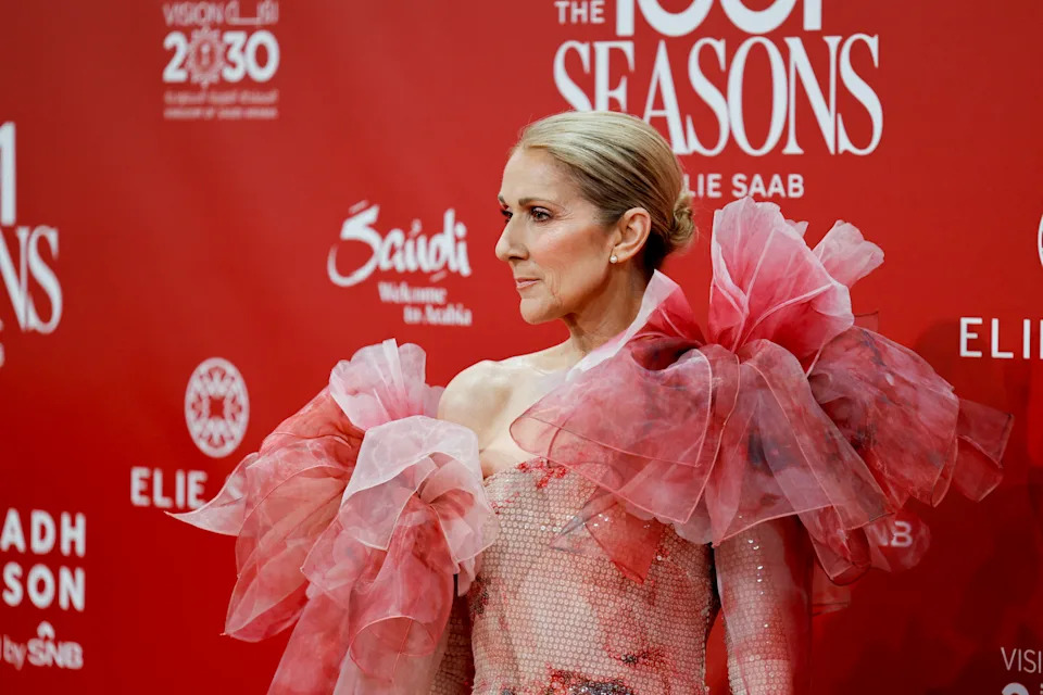 Singer Celine Dion poses on the red carpet ahead of 'The 1001 Season of ELIE SAAB' fashion show celebrating the Lebanese fashion designer Saab's 45-year fashion career as part of Riyadh Season in Riyadh, Saudi Arabia, November 13, 2024. REUTERS/Hamad I Mohammed