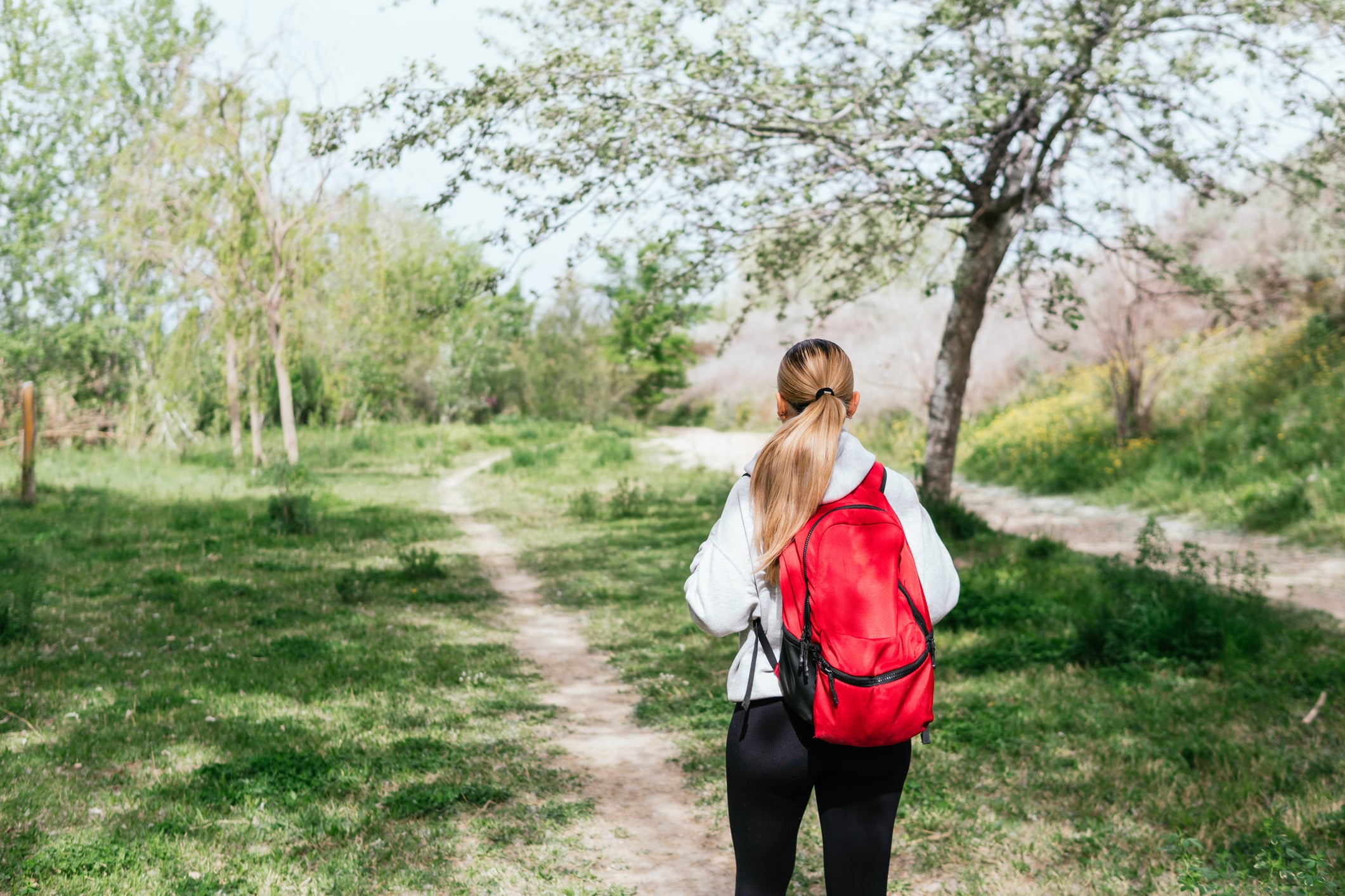 Diets low in protein and containing moderate levels of the amino acid methionine can help you stay stronger for longer, research suggests