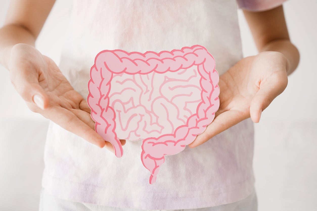 When a zero-sugar diet halts the production of these fuels, the cells lining the gut lose their main energy source, and the gut barrier begins to break down