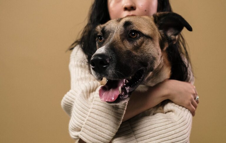 Fur Parents, You Can Now Get a Nutrition Consultation Service for Your Pet—Here's Where