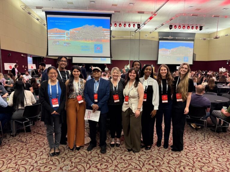 Veterinary students expand horizons into biomedical research through summer program in 19th year Veterinary students expand horizons into biomedical research through summer program in 19th year