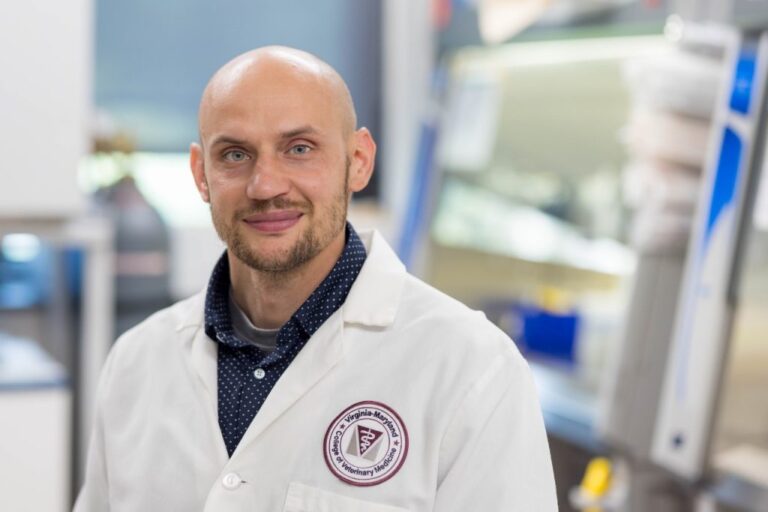 NIH bets $2 million on a virologist studying how cells decide to die