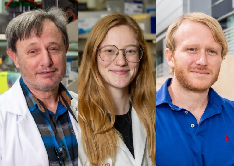 Oral therapy shows potential to protect healthy tissue from radiation