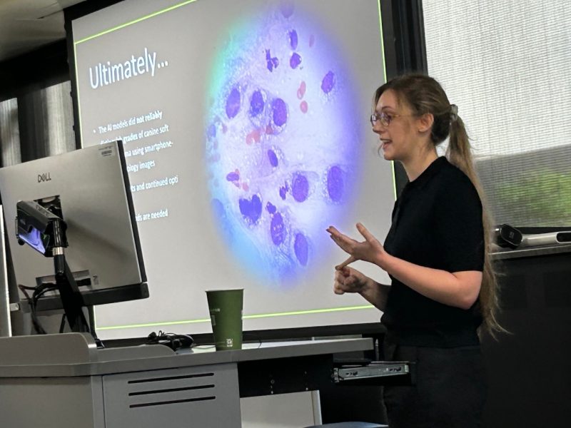 (At left) Lydia Nesser presenting her research on using cellphone images to detect tumors in canines