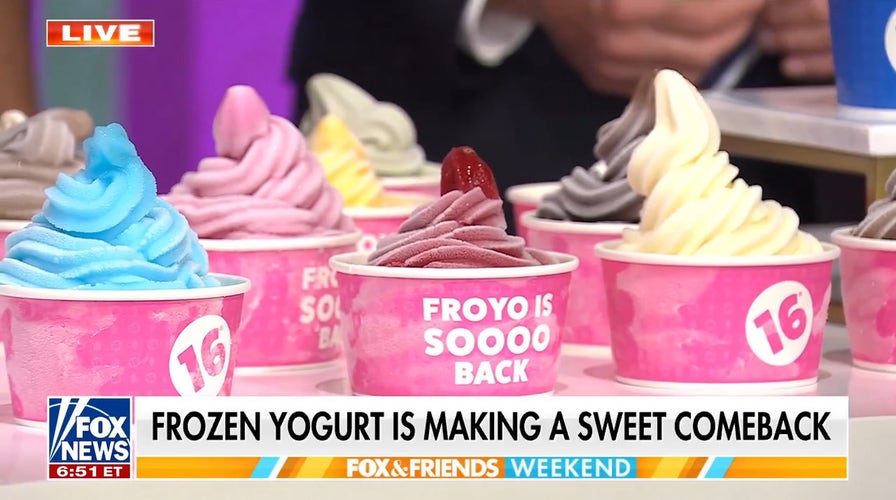 16 Handles CEO Neil Hershman details frozen yogurt's comeback