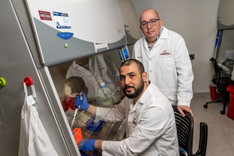 Scientists restore lost protein to reverse lung disease in preclinical models