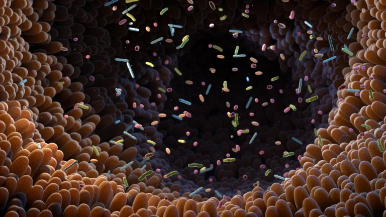 Gut bacteria may unlock a hidden benefit of vegetables Gut bacteria may unlock a hidden benefit of vegetables