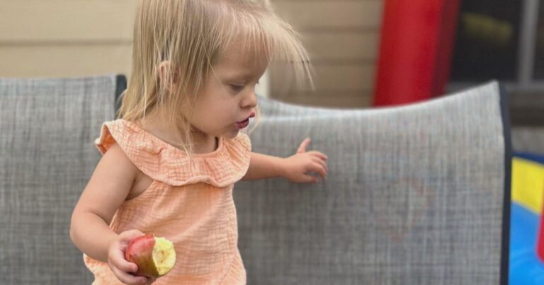 Colorado family facing $300,000 in medical debt after K-9 officer attacks toddler, maims her father