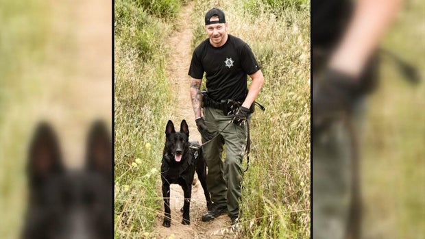 jeffco-k9-bites-child-and-man-5pkg-transfer-frame-600.jpg