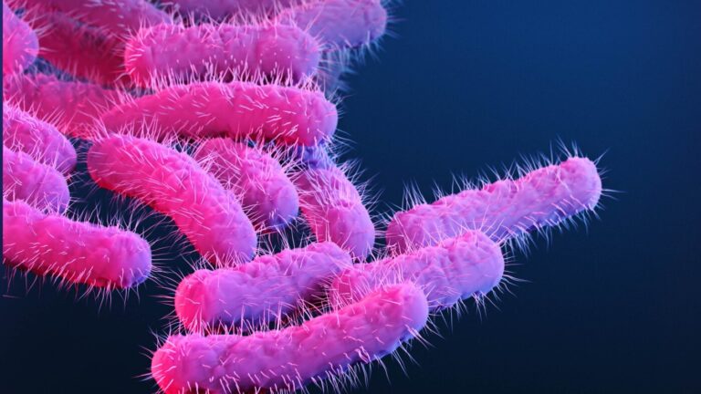 A new vaccine could vanquish a major cause of deadly diarrheal disease A new vaccine could vanquish a major cause of deadly diarrheal disease