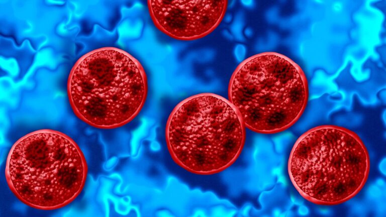 Two people in Michigan have died after becoming ill with cyclosporiasis Two people in Michigan have died after becoming ill with cyclosporiasis