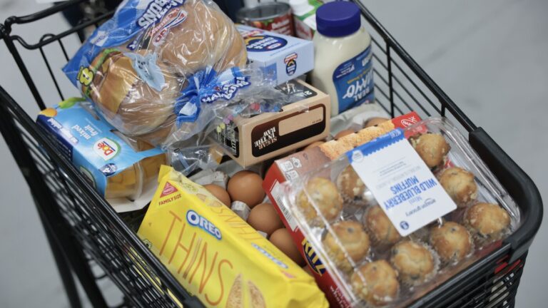 Over 4 million people are no longer receiving food aid amid sweeping changes to SNAP Over 4 million people are no longer receiving food aid amid sweeping changes to SNAP
