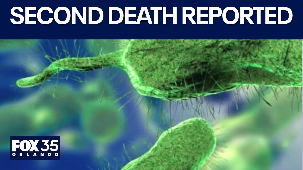 2nd flesh-eating bacteria death reported in Fla. this year
