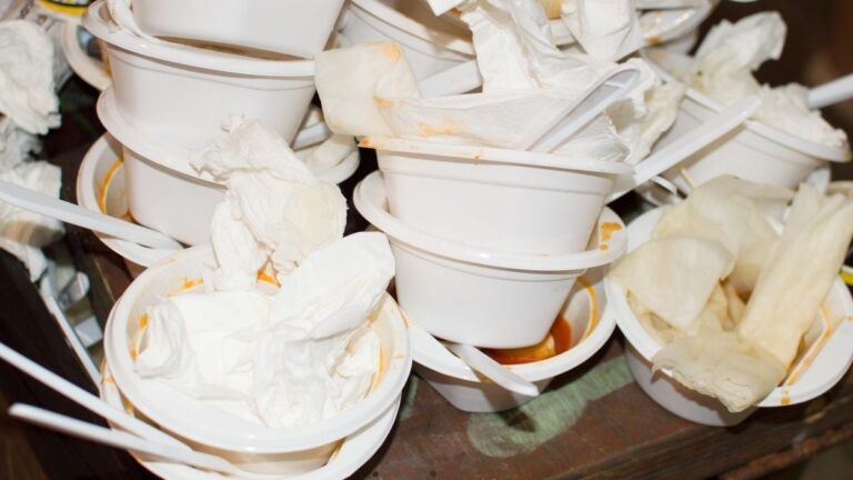 The Clearest Evidence Yet That a Common Plastic Increases Risk of Fatty Liver Disease