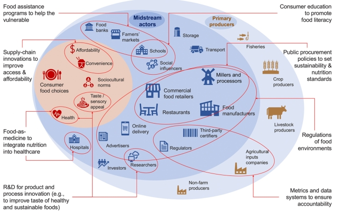 Chart showing midstream actors in the food system.
