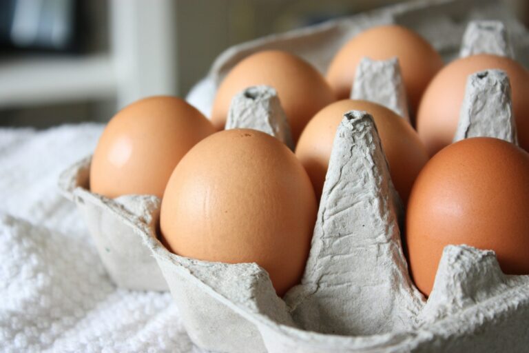 Iranian researchers enhance egg nutrition with innovative feed combination