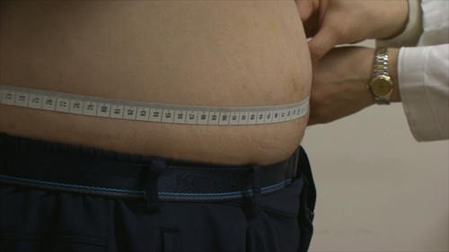 A survey found that about two out of 10 domestic women, who weigh in the normal category, perceive themselves as obese. [Yonhap News]