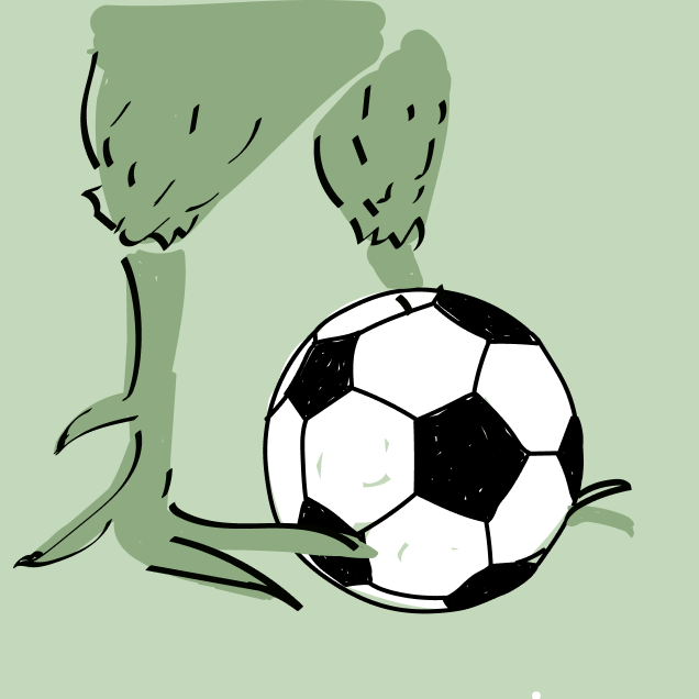 Tottenham Hotspur Football Newsletter