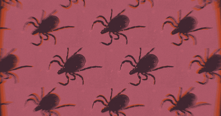 Kill the Ticks