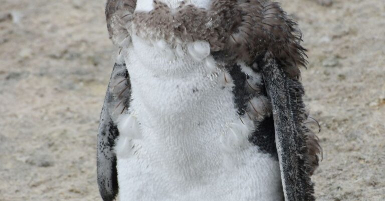 Maybe You're Not Breaking Down. Maybe You're Molting