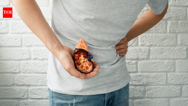 Keto, Carnivore, High-Protein Diets: Can eating too much protein or too few carbs put your kidneys under stress?