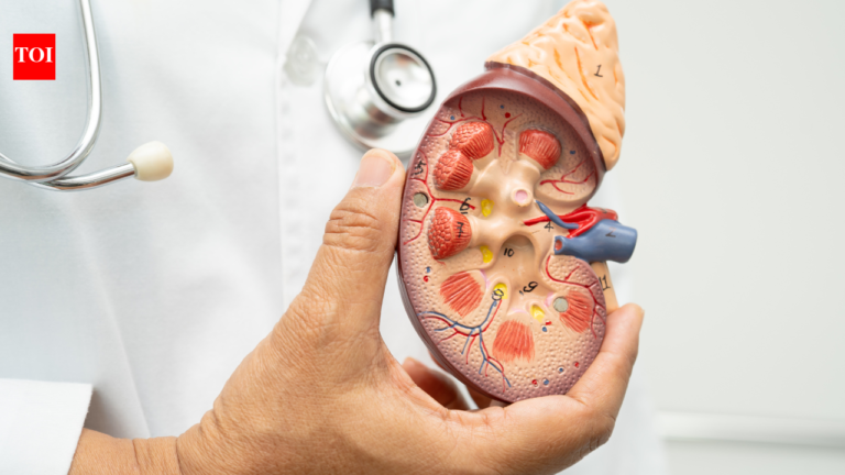 Chronic stress is more than a mental health problem: How it can raise blood pressure and put your kidneys at risk