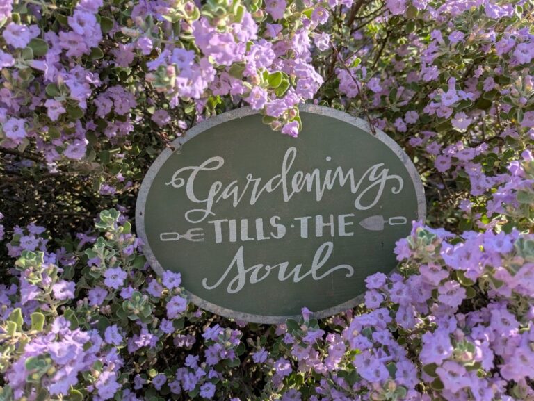 Summer symposium will focus on gardening and health