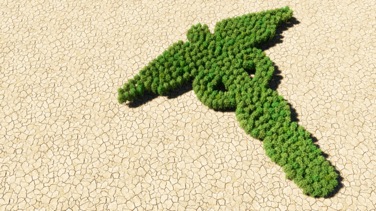 Hospitals Can Save the Environment and Your Health — Or At Least Not Make Them Worse – Petrie Hospitals Can Save the Environment and Your Health — Or At Least Not Make Them Worse - Petrie