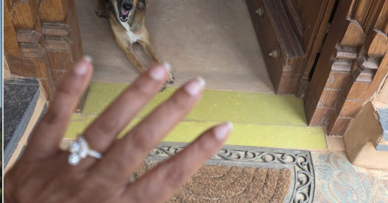 What Are Dogs Reading in Human Gestures Like the Open Palm? What Are Dogs Reading in Human Gestures Like the Open Palm?