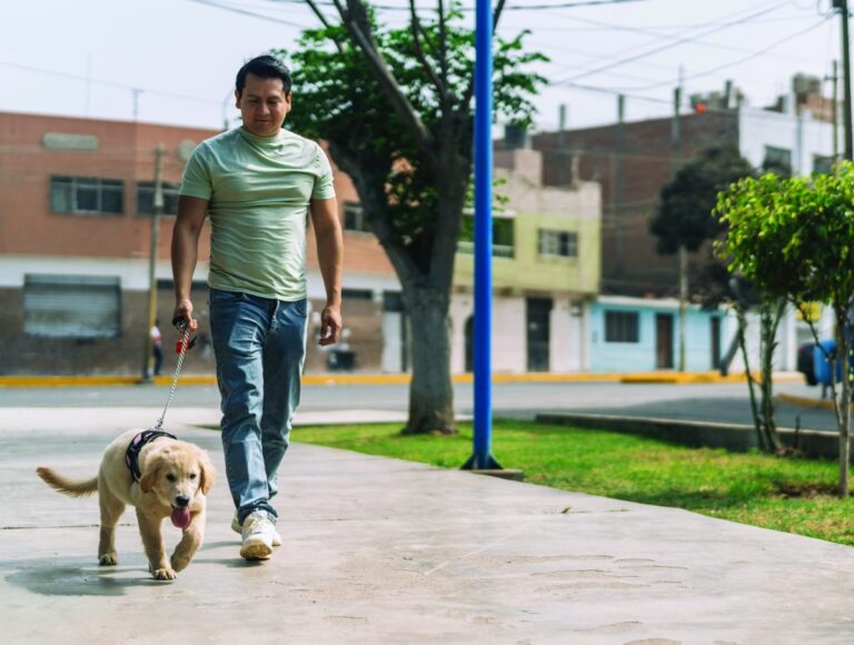Walk more to stress less: get moving to improve well