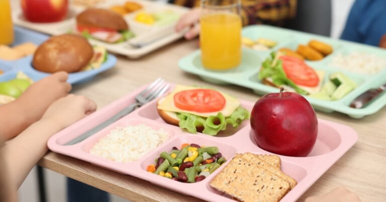 The hidden cost of more protein in school meals