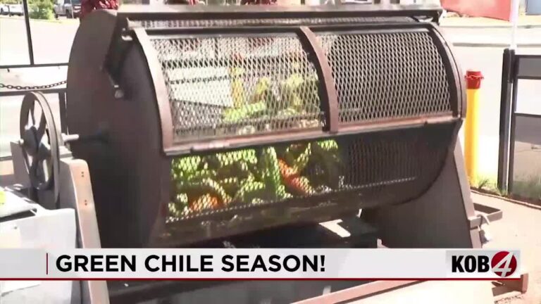 New Mexico green chile researchers explore how to make it more disease