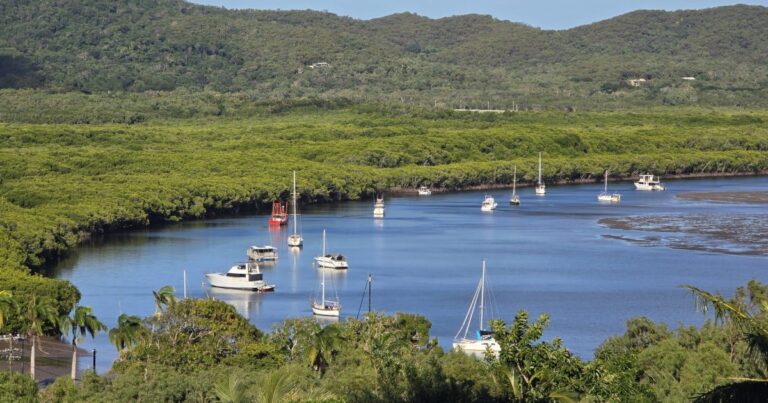 Developer pitches Cook Shire ‘rural lifestyle subdivision’ to ease housing pressure Developer pitches Cook Shire 'rural lifestyle subdivision' to ease housing pressure